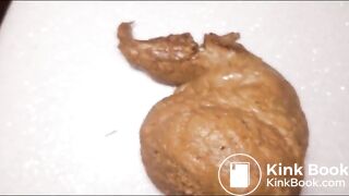 Huge pile of poop on a chair
