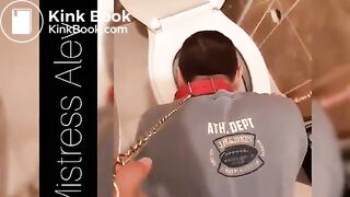 treat from the toilet bowl