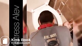 treat from the toilet bowl