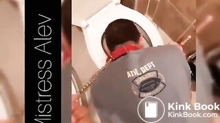 treat from the toilet bowl