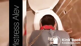treat from the toilet bowl