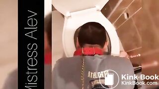treat from the toilet bowl