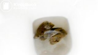 Closeup toilet poop