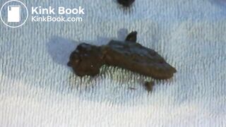 CE 063 - Scatboy Robert is smoking a big Havanna 2