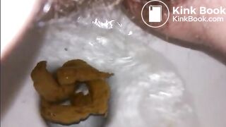TOILET TURD