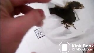 Milf shitting in a plastic box