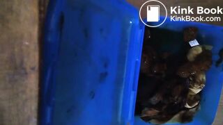 Kackslip zum wichsen gewünscht