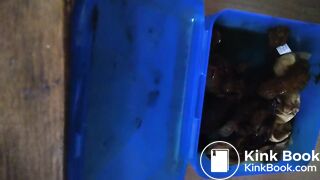 Kackslip zum wichsen gewünscht