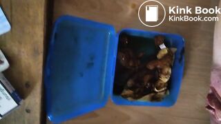 Kackslip zum wichsen gewünscht