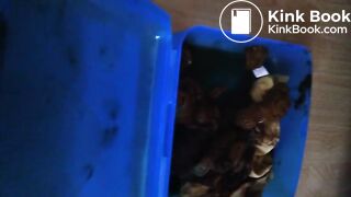 Kackslip zum wichsen gewünscht