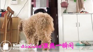 Japanese girl shitting white standing  infront of her neighbor