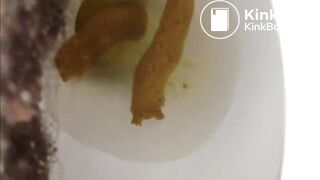 sweet shit beautiful hairy pussy