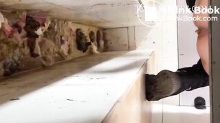 Joy Angeles August 2021 Bonus - Finds From The Internet