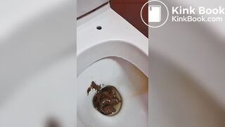 Public Toilet