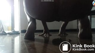 S4lom3 - Gassy Farting Poo & Squirt Off