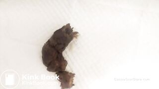 Pushing Out 2 Turds While My Pussy Drips