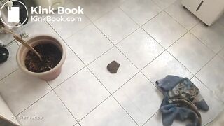 Very urgent poop