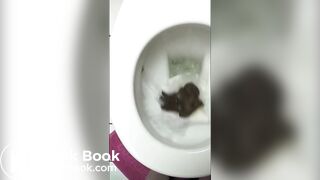 Kim drops a huge load on her toilet seat