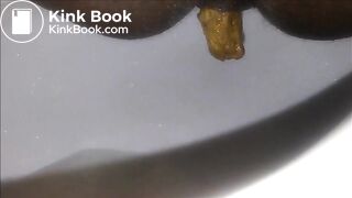 Ebony milf shitting closeup in the toilet