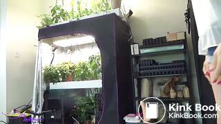 Mia Nightshade - Fall Harvest