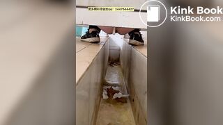 Chinese ditch toilet 2
