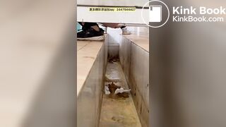 Chinese ditch toilet 2