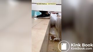 Chinese ditch toilet 2