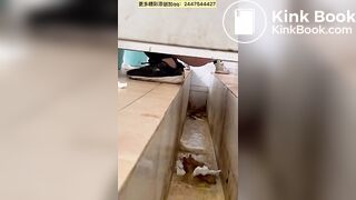 Chinese ditch toilet 2