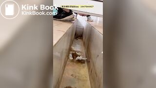 Chinese ditch toilet 2