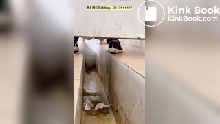 Chinese ditch toilet 2