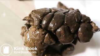 LR2 - licks her turd