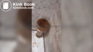 Behind the scenes with maggots