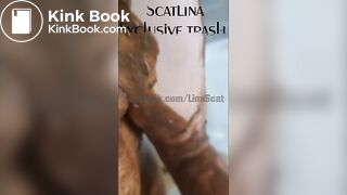 Behind the scenes with maggots