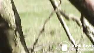 lucy_country1