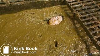 Betty completely submerges in cowshit