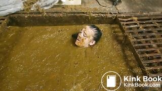 Betty completely submerges in cowshit