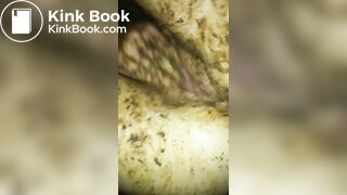 3 Loads of Shit Teaser