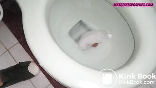 newmistrcee1pptese