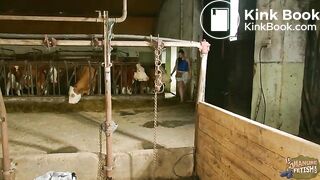 Wicked Betty in the manure channel trailer