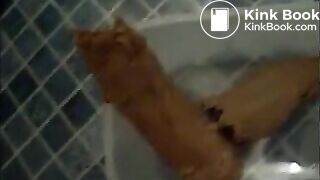 Mature bbw shitting in a plastic box