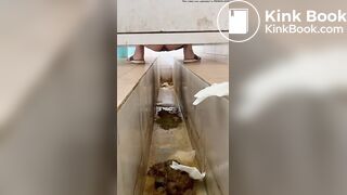 chinese ditch toilet diarrhea