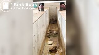 Chinese ditch toilet scat