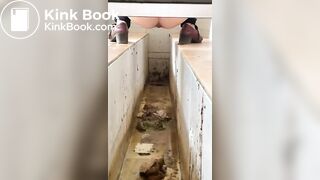 Chinese ditch toilet scat