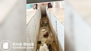 Chinese ditch toilet scat