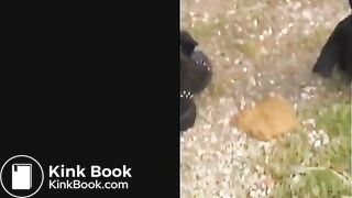 Milf outdoor diarrhea - ThisVidcom