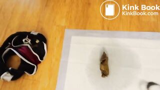 Sisters Shitting on the Floor Together