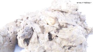 Recovered_mp4_file(6641)