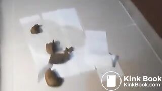 Hot babe shits on the floor