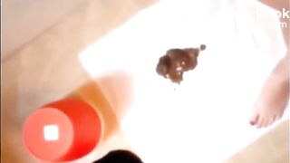 Round butt brunette shitting and smearing on pussy