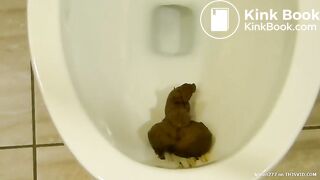 shits in wc